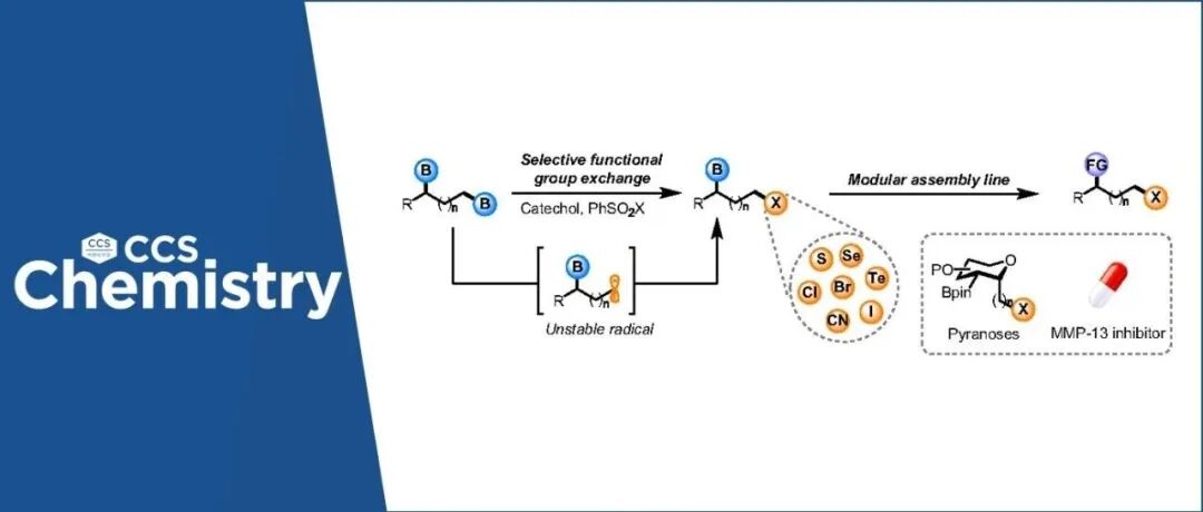 【CCS Chem.】上海科技大学高得伟课题组：硼-杂原子基团的选择性交换反应