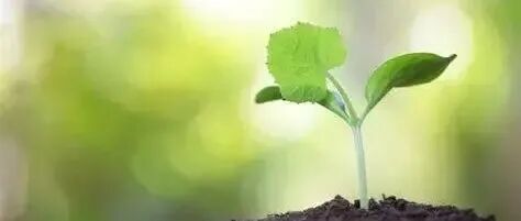 太离谱！农大天才博士再发Nature，破解百年难题，植物科学领域迎来重大突破！
