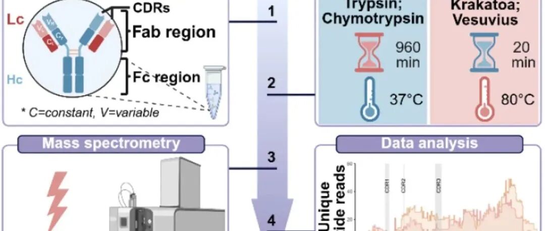 bioRxiv |超嗜热古菌蛋白酶助力蛋白质从头测序