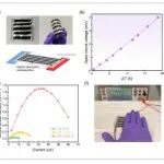 新加坡国立大学《Small》：碳纳米管/聚己内酯复合材料，用于可持续能量收集