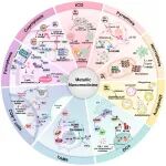 中国药科大学李苏昕/北京大学张强团队在APSB综述金属纳米药物赋能肿瘤免疫治疗的机制、进展与临床应用