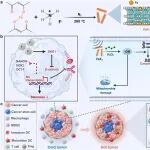 Biomaterials：铁氟化物纳米启动剂可重编程肿瘤干细胞特性以驱动超声增强的细胞焦亡和高效的催化免疫治疗