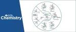清华大学唐叶峰课题组CCS Chem.：基于对称性导向策略实现多环芳基四氢萘型木脂素的对映选择性合成