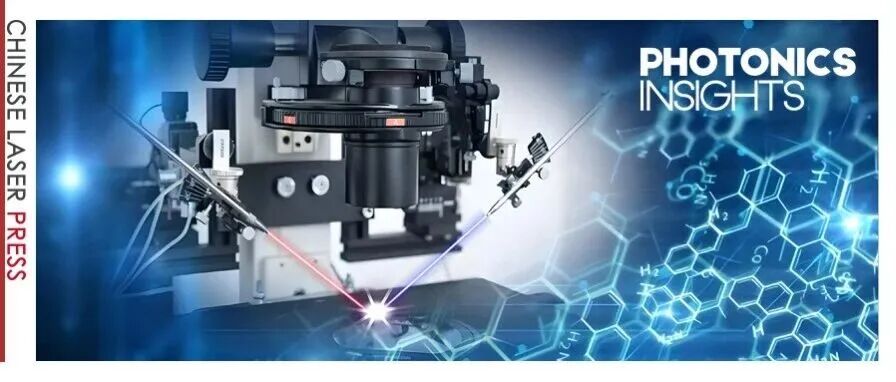 Photonics Insights | 方哲宇教授：表面等离激元学的双重视角——从近场光学到电子纳米显微镜