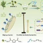 北化潘凯教授团队 Macromolecules: 精准活性链段策略合成序列结构可控、综合性能优异的生物基呋喃聚酰胺
