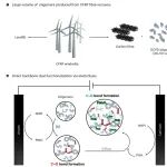 UIUC Jeffrey S. Moore 团队 Nat. Synth.: 协同电解双C-H官能化重构树脂回收寡聚体