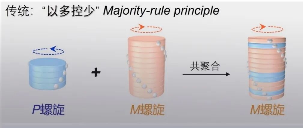 中国科大汪峰/肖石燕 Nat. Synth.：螺旋超分子共聚合 - “以少控多”的螺旋手性调控机制