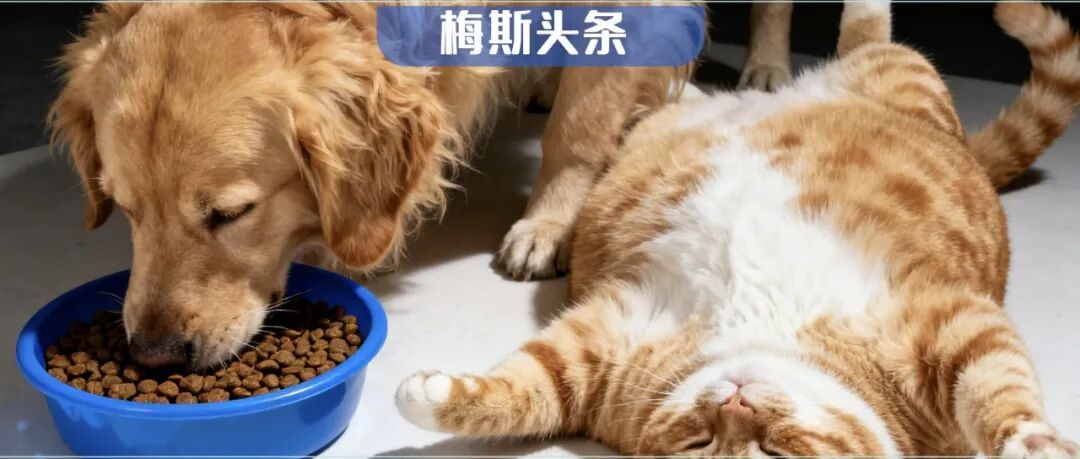 正所谓「饱暖思淫欲」！Nature和子刊：饿完再吃，“性趣”易被点燃；而从“面包”转向爱情，竟靠这种蛋白催化！