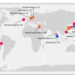 Nat Microbiol丨上海交通大学王风平团队揭示海洋古微生物在全球碳循环中的关键作用机制