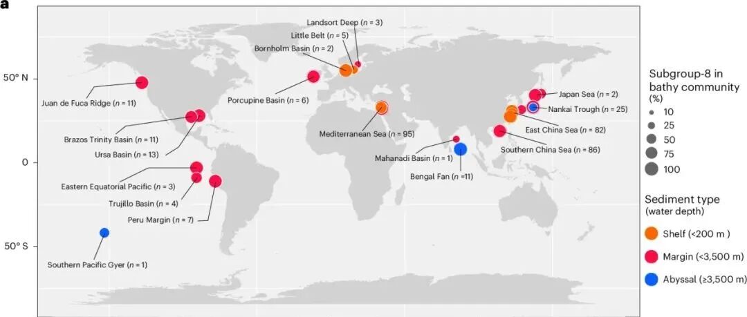 Nature Microbiology | 上海交通大学揭示海底深古菌合成新颖膜脂并定量解析其碳吸收机制