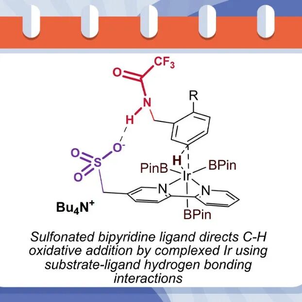 【Chem. Sci.】剑桥大学Robert J. Phipps：开发磺化三吡啶配体以控制钯催化苯胺类化合物氟化反应的区域选择性