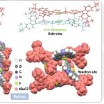 【Chem. Sci.】陕师大朱晓林副研究员团队：基于硼氟配合物和3,6-二叔丁基咔唑修饰的高性能荧光传感器用于神经毒剂检测