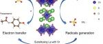文献速递|马德里理工大学ACB:SrxLa2-xCoO4±δ过氧化物衍生物中与成分有关的PMS活化：从自由基到强化电子转移途径