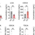 Adv Sci丨中国药科大学戴岳/夏玉凤研究发现7-KDCA 是结肠黏膜愈合的卓越促进剂