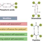 研究进展：有机催化-超分子自组装 | Nature Reviews Chemistry