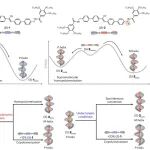 研究前沿：中国科学技术大学 肖石燕/汪峰，超分子 | Nature Synthesis