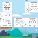 研究进展：环境传感器 | Nature Reviews Materials