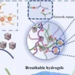 Nano Today | 沈阳药科大学宋宜霖等团队研究发现透气钯氢化物水凝胶共阻断HMGB1-RAGE轴治糖尿病足溃疡