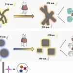 Nano Today | 南开大学刘育研究发现葫芦脲调控纳米超分子拓扑变换及可逆多色发光水凝胶用于信息加密