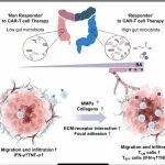 Biomed Pharmacother&#8204;  | 南京师范大学郭志刚团队细胞治疗新发现：利用丁酸钠激活CAR-T功能杀伤实体肿瘤