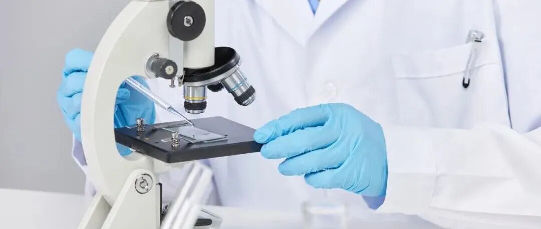 《食品科学》：集美大学倪辉教授等：C端非催化免疫球蛋白样结构域对假交替单胞菌κ-卡拉胶酶的酶学性质与结构的影响
