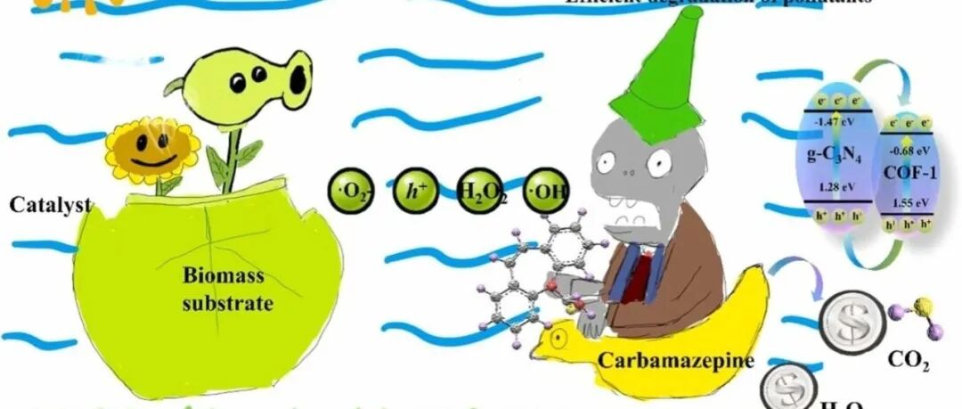 文献速递|南京林业大学ACB:基于生物质的COF气凝胶结合双三嗪网络结构，实现协同光催化与太阳能蒸发效能提升