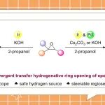 【J. Org. Chem.】爱琴海大学Derya Gu&#776;lcemal：通过环氧化物的催化转移加氢实现醇的区域选择性合成