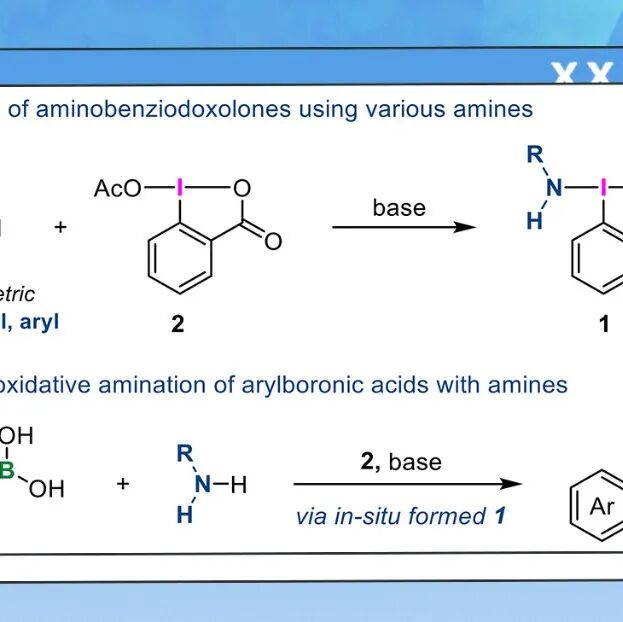 【Chem. Sci.】大阪大学：合成氨基苯并碘酮的通用方法及其在芳基硼酸与简单胺类的一锅偶联中的应用