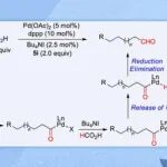 【Chin. J. Chem.】常大史一安课题组：钯催化内烯与甲酸及N-甲酰基糖精的区域选择性迁移-氢甲酰化反应研究