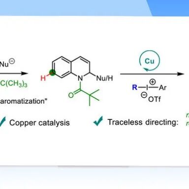 【Angew. Chem.】浙工大许丹倩/娄绍杰、安徽大学罗根：“无痕”导向策略助力喹啉C7位官能化