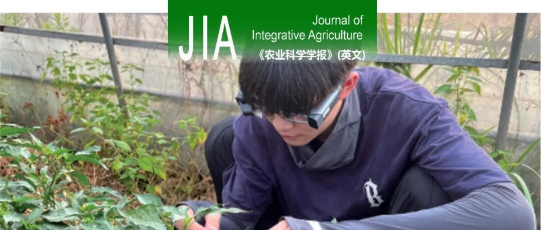 JIA | 浙江理工大学姚青团队和中国农科院植保所刘万学团队采用AR眼镜和AI结合的方法建立野外智能的潜叶蝇为害等级调查系统