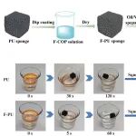 天津大学潘莉教授团队 CEJ：多功能氟化环烯烃聚合物 - 高效合成、性能精准调控及其在光学与超疏水表面的前沿应用