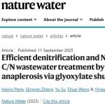 同济大学陈银广课题组Nature Water：从加碳到控碳—低C-N污水脱氮的代谢管理新路径