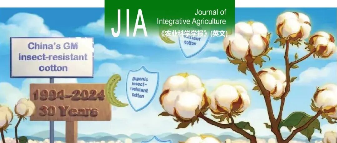 JIA专题回顾｜棉花生物技术育种——纪念国产转基因抗虫棉研发成功30周年