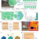 华南理工大学刘德桃/华中科技大学胡润ACS Nano：新型木质纤维素温控材料问世