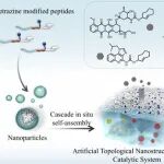 重庆医科大学梁洪文等人JACS:&#160;人工拓扑纳米结构自组装用于增强生物正交激活与药物渗透的癌症免疫治疗
