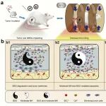 Nature Commun：通过硼硅酸盐生物活性玻璃可增强温和磁热疗以对抗肿瘤性骨再生