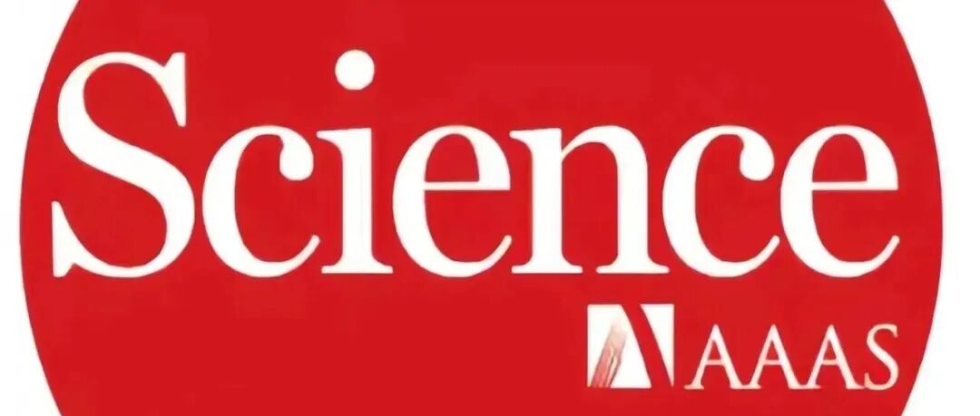 固态锂电池五校联合重磅Science！