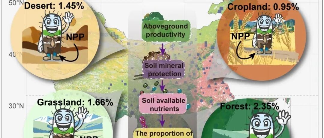 全国尺度评估丨GLOBAL CHANGE BIOL：地上部生产力塑造中国各地活性土壤微生物群落