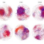 沈阳生态所博士生一作在Soil Biology & Biochemistry发文，土壤病毒与碳循环调控研究！