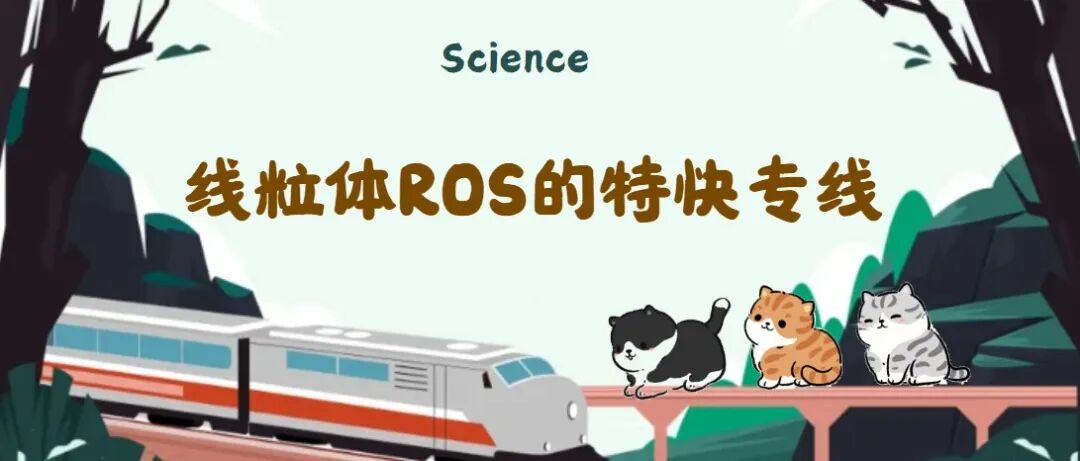 Science：线粒体ROS的特快专线