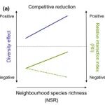 Ecology Letters | 从竞争到促进:树种如何应对邻体多样性