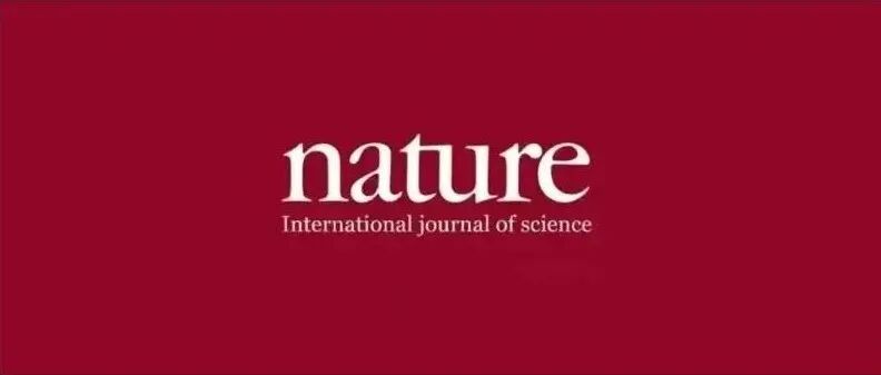 诺奖级突破！国外学者攻克材料疲劳断裂损伤世界性难题，《Nature》封面论文震撼学界！