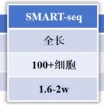 SMART-seq — 适配微量细胞/微组织/类器官/胚胎的全长转录组测序