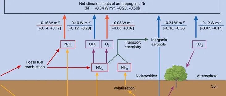 文献分享 | Nature：全球人为活性氮的净气候效应
