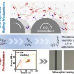 西南科大常冠军、康明等 AFM：高能量阳离子-π（Li&#8314;-π）相互作用驱动微球滚动构建强韧复合材料的新机制