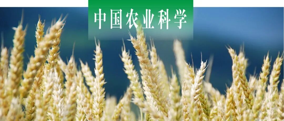 中国农业科学｜甘肃农大联合中国农科院作科所克隆小麦TaTIFY11c-4A并分析其遗传效应