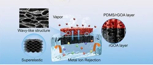 昆明理工大学《Langmuir》：柔性Janus石墨烯气凝胶，具有超弹性和耐盐性，用于海水淡化和废水净化