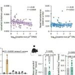 Nat Microbiol丨上海交通大学李敏等表明鼻携带金黄色葡萄球菌通过性激素降解促进小鼠抑郁行为！
