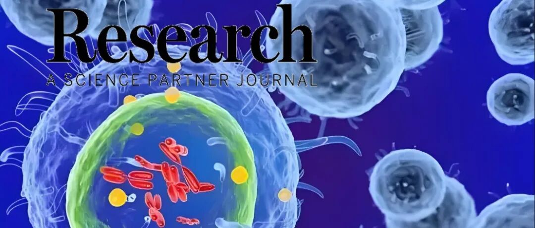 Research评述|打造“先天免疫+局部免疫激活”组合拳